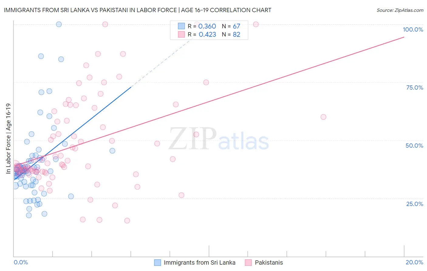 Immigrants from Sri Lanka vs Pakistani In Labor Force | Age 16-19