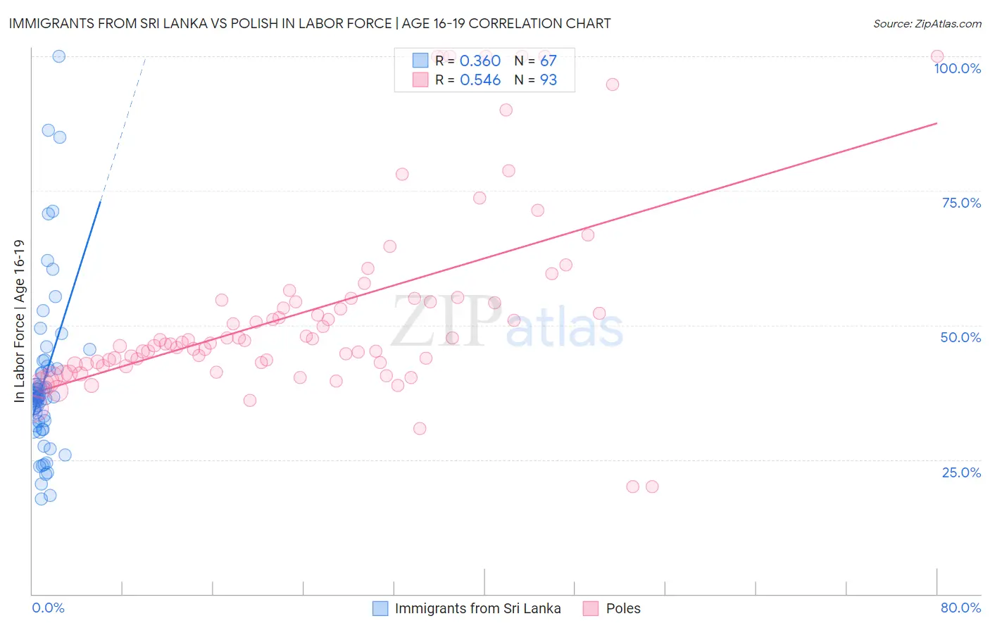 Immigrants from Sri Lanka vs Polish In Labor Force | Age 16-19