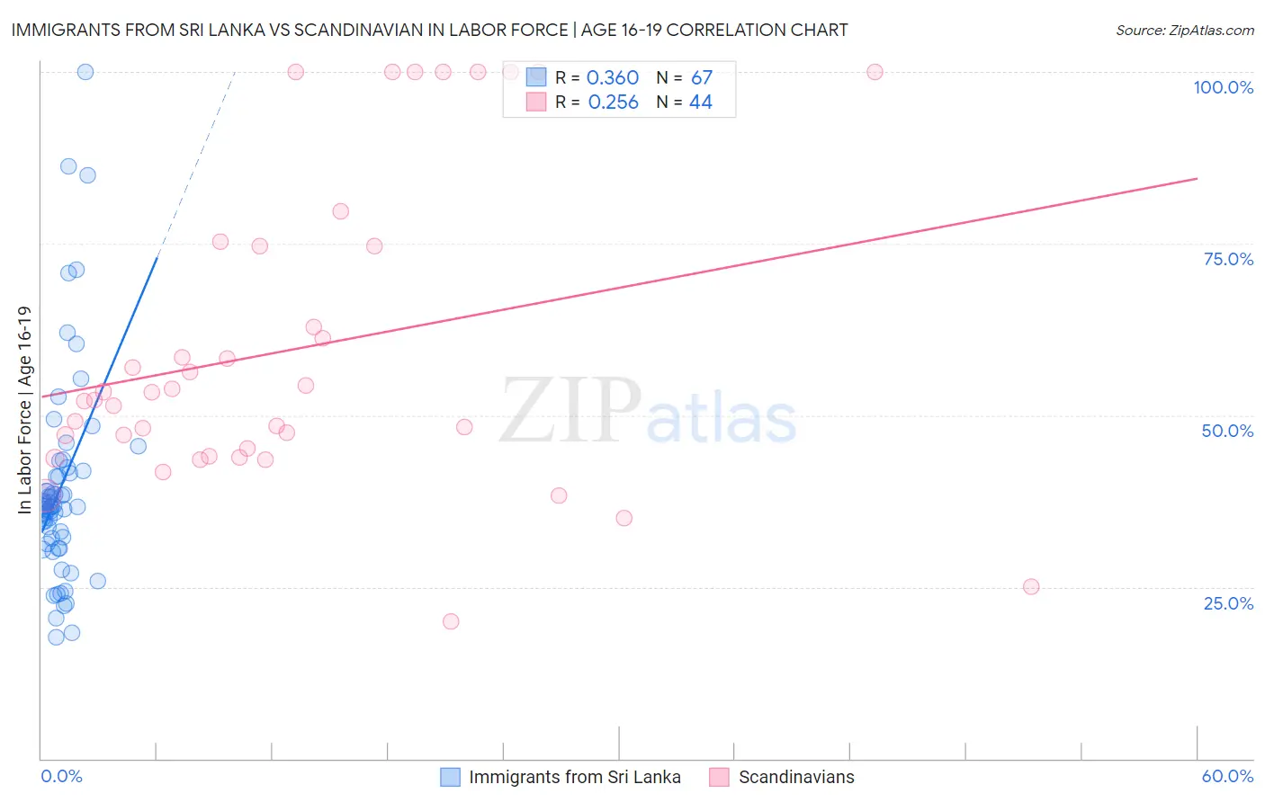 Immigrants from Sri Lanka vs Scandinavian In Labor Force | Age 16-19