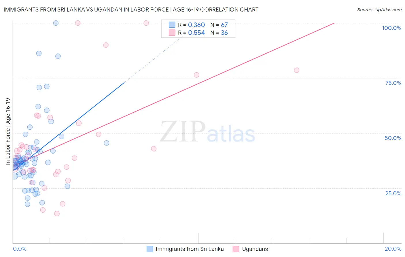 Immigrants from Sri Lanka vs Ugandan In Labor Force | Age 16-19