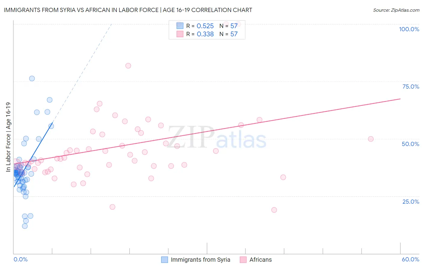 Immigrants from Syria vs African In Labor Force | Age 16-19