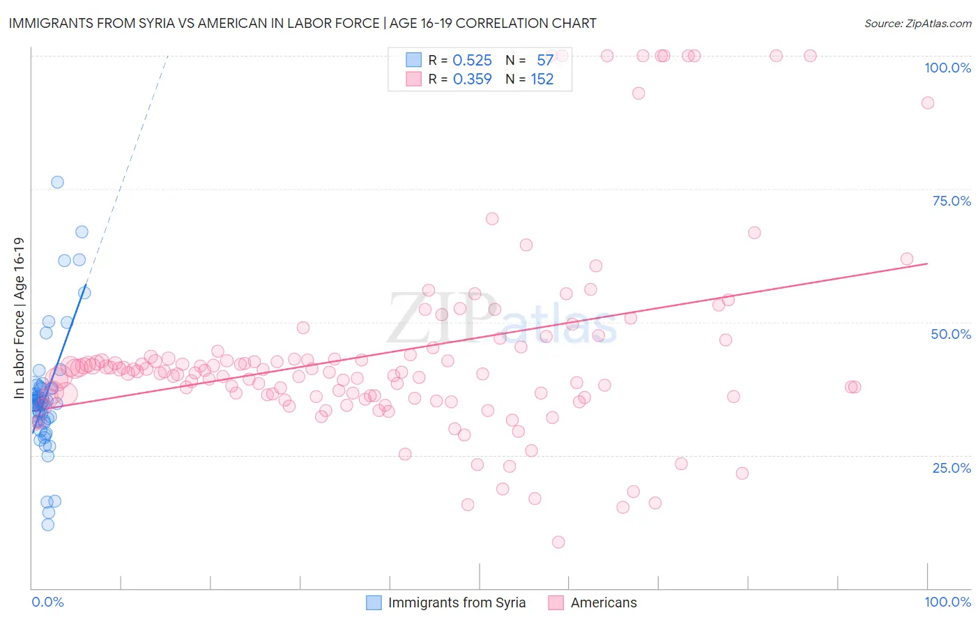 Immigrants from Syria vs American In Labor Force | Age 16-19