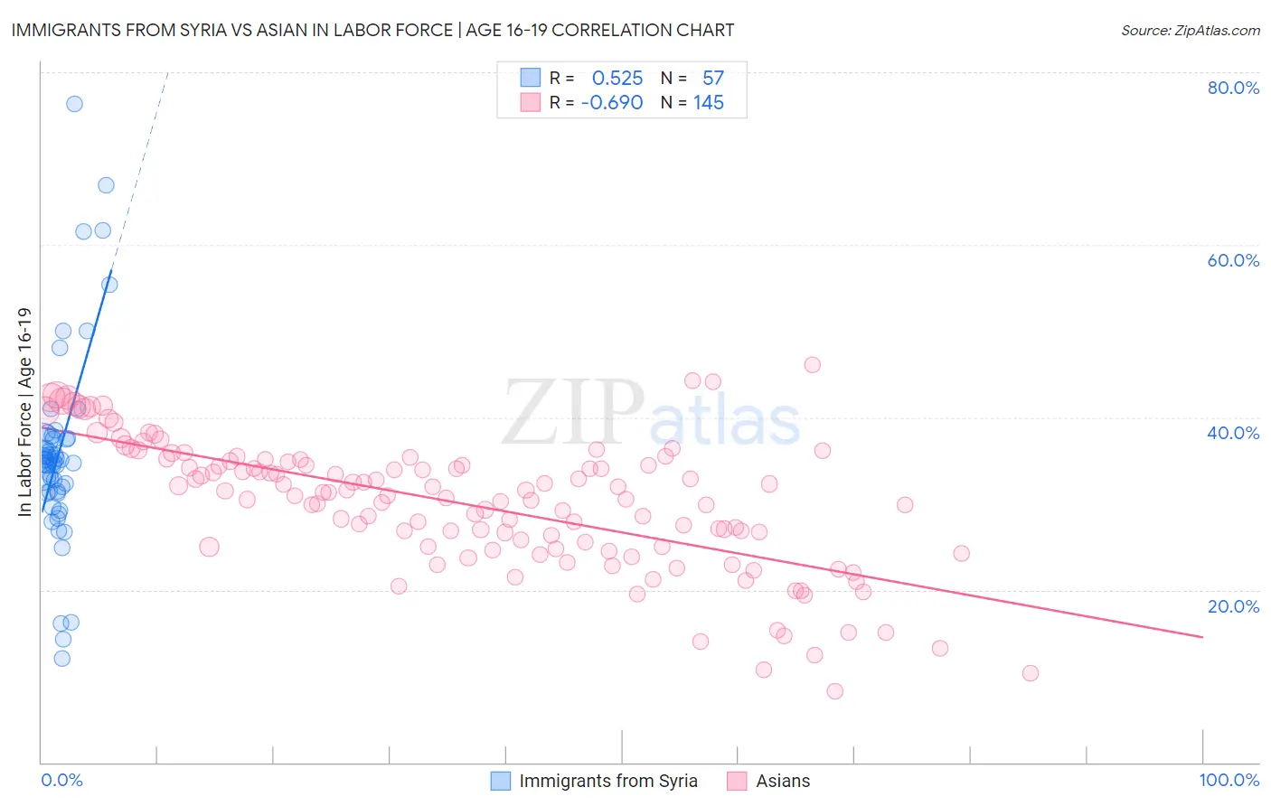 Immigrants from Syria vs Asian In Labor Force | Age 16-19