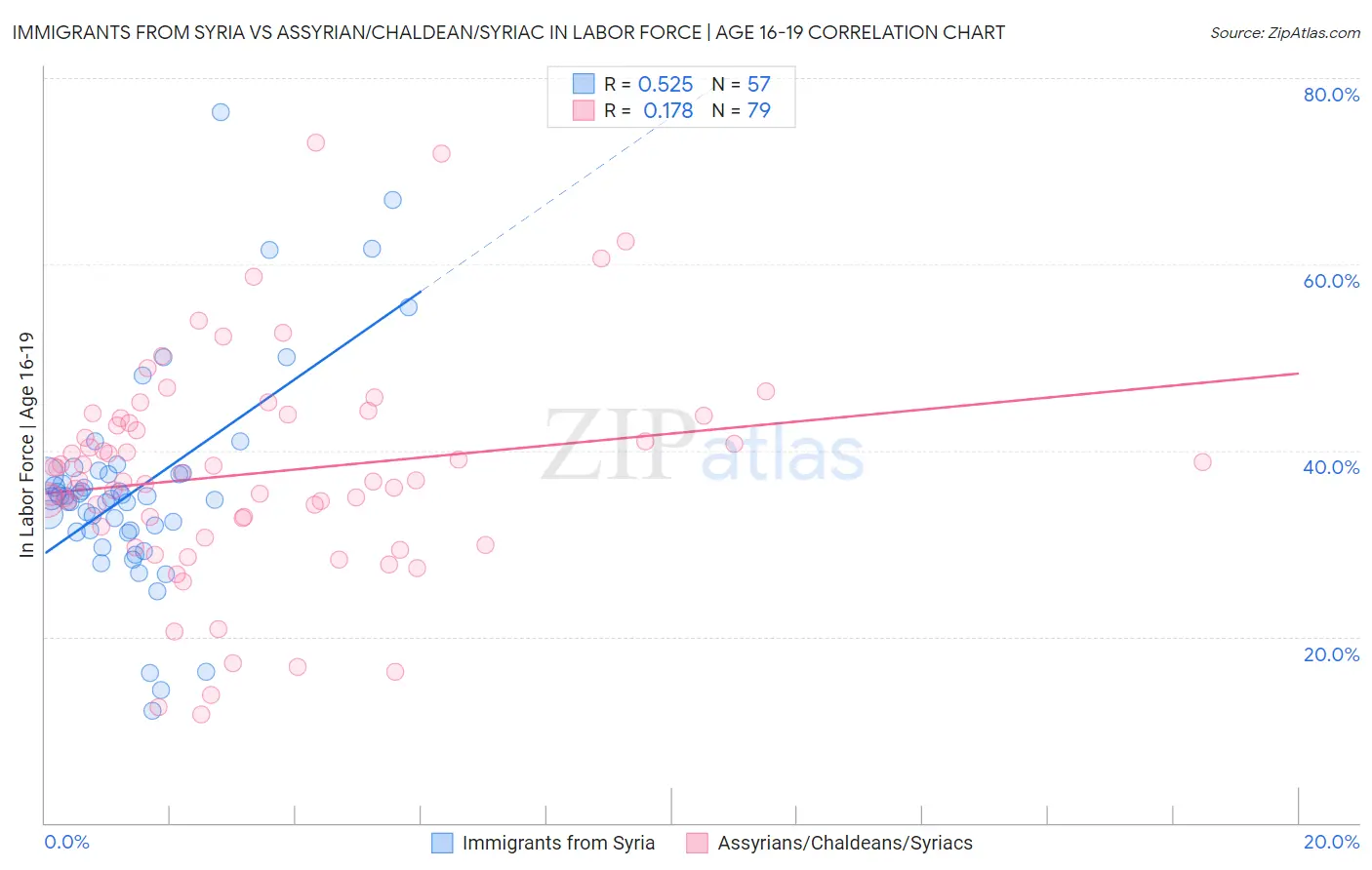 Immigrants from Syria vs Assyrian/Chaldean/Syriac In Labor Force | Age 16-19