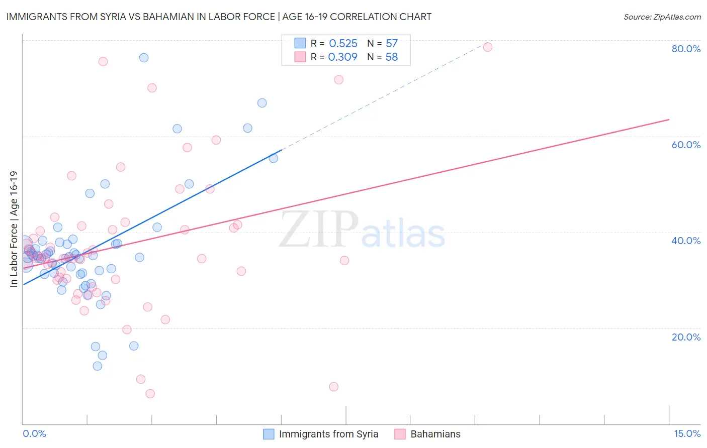 Immigrants from Syria vs Bahamian In Labor Force | Age 16-19