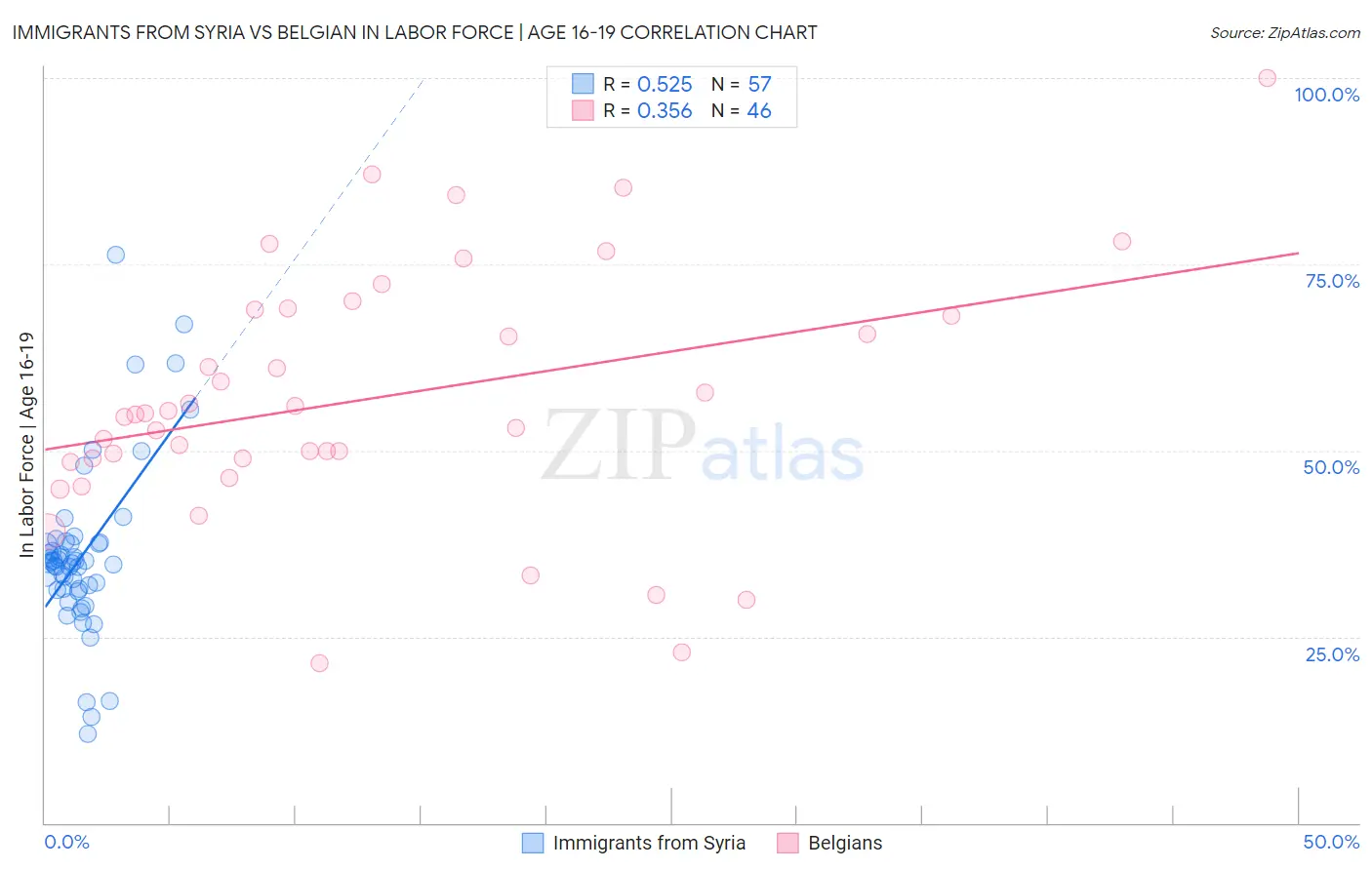 Immigrants from Syria vs Belgian In Labor Force | Age 16-19