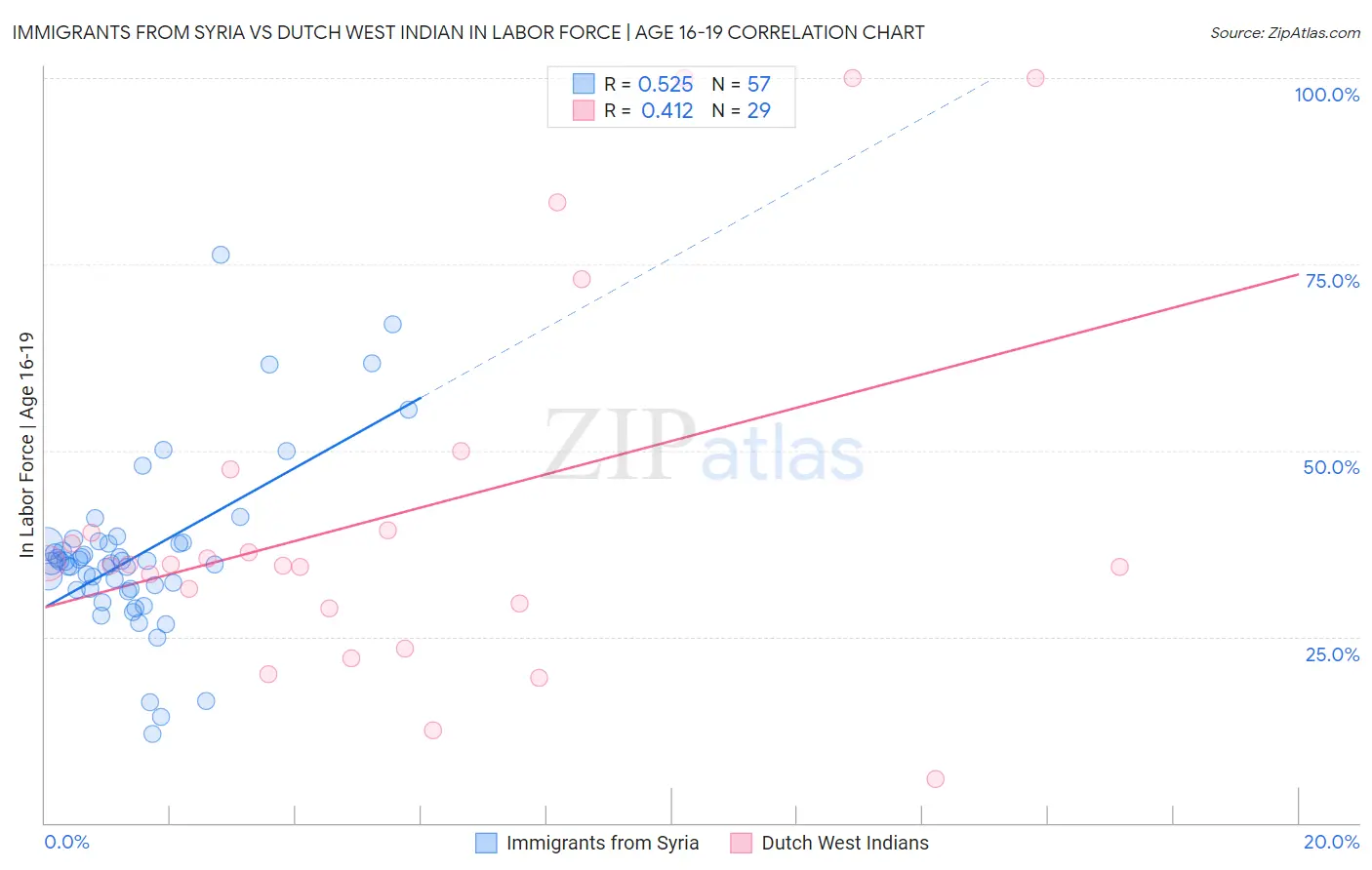 Immigrants from Syria vs Dutch West Indian In Labor Force | Age 16-19