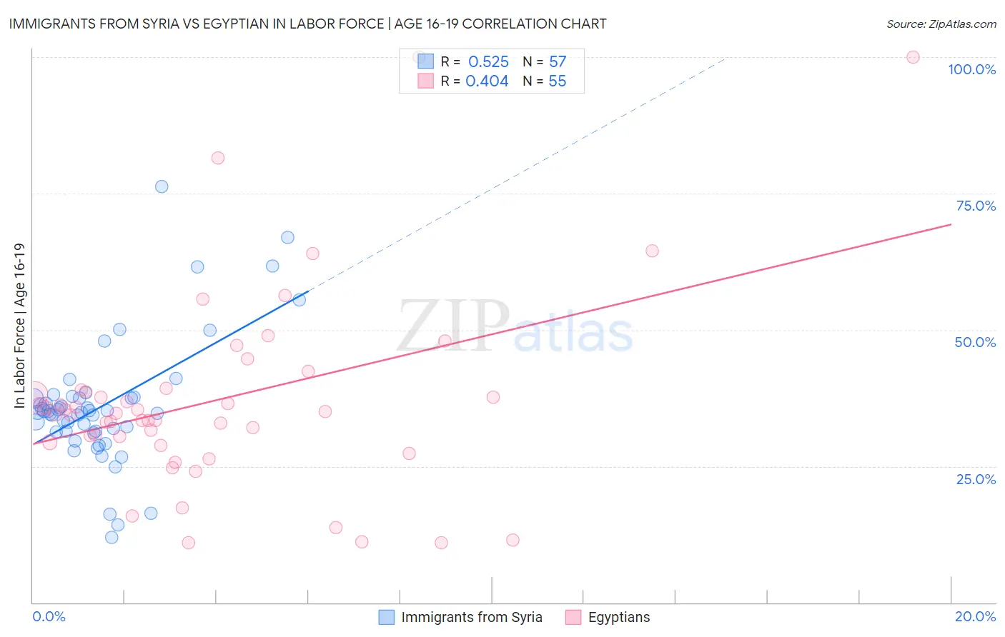 Immigrants from Syria vs Egyptian In Labor Force | Age 16-19