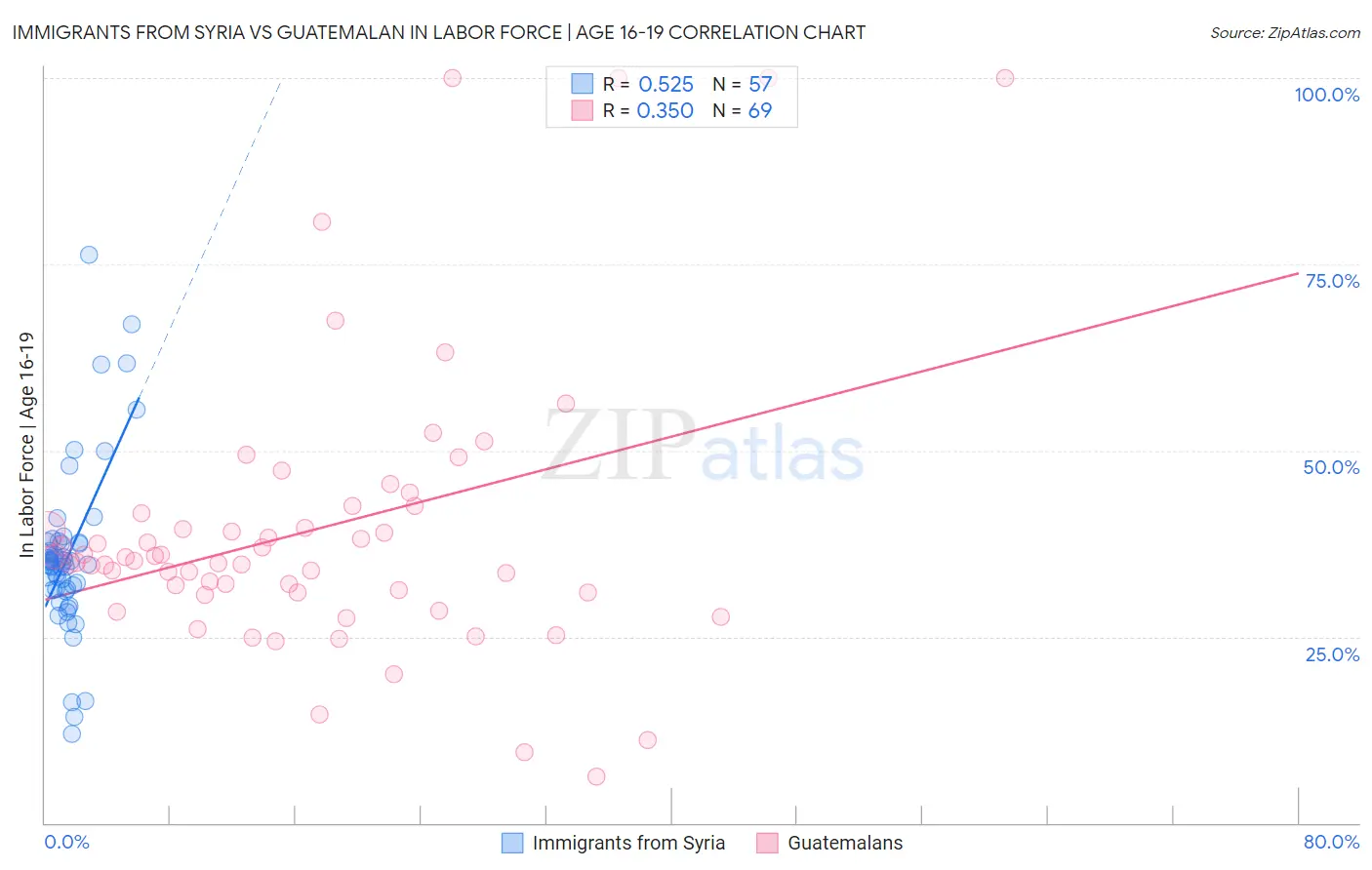 Immigrants from Syria vs Guatemalan In Labor Force | Age 16-19
