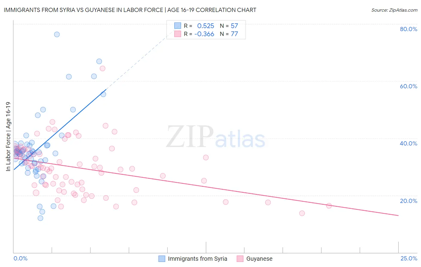 Immigrants from Syria vs Guyanese In Labor Force | Age 16-19