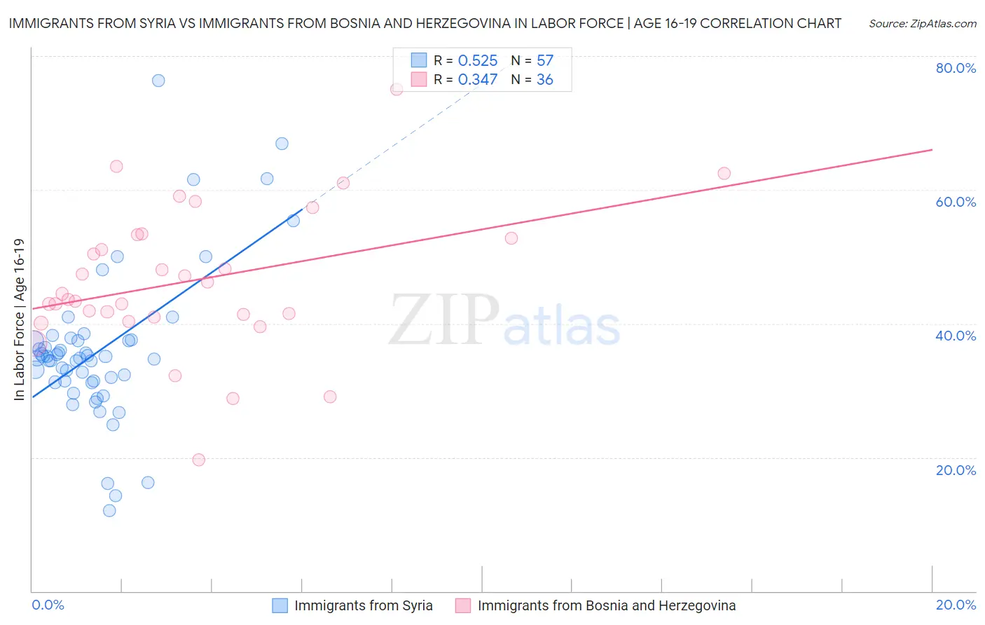 Immigrants from Syria vs Immigrants from Bosnia and Herzegovina In Labor Force | Age 16-19