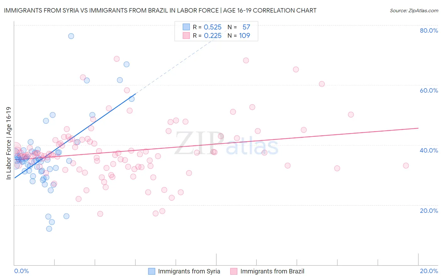 Immigrants from Syria vs Immigrants from Brazil In Labor Force | Age 16-19