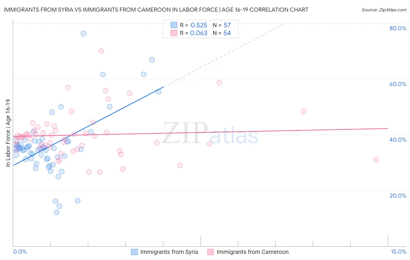 Immigrants from Syria vs Immigrants from Cameroon In Labor Force | Age 16-19