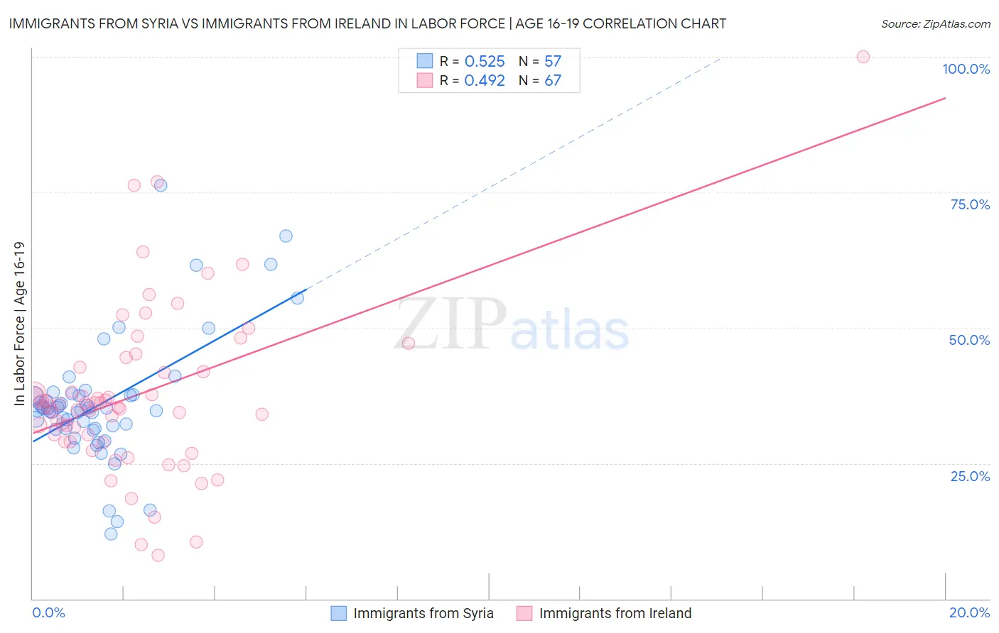 Immigrants from Syria vs Immigrants from Ireland In Labor Force | Age 16-19