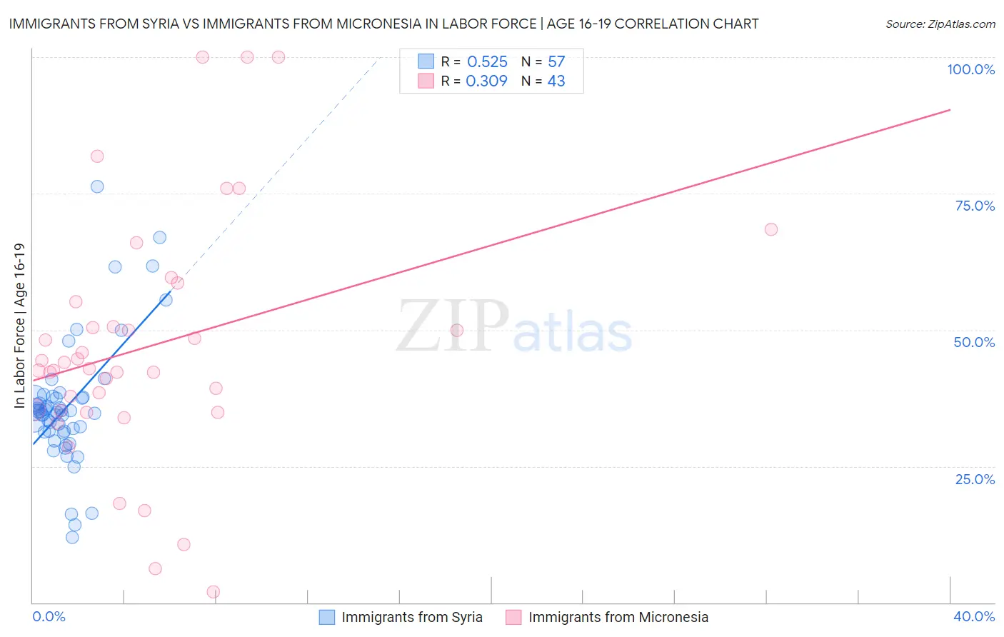 Immigrants from Syria vs Immigrants from Micronesia In Labor Force | Age 16-19