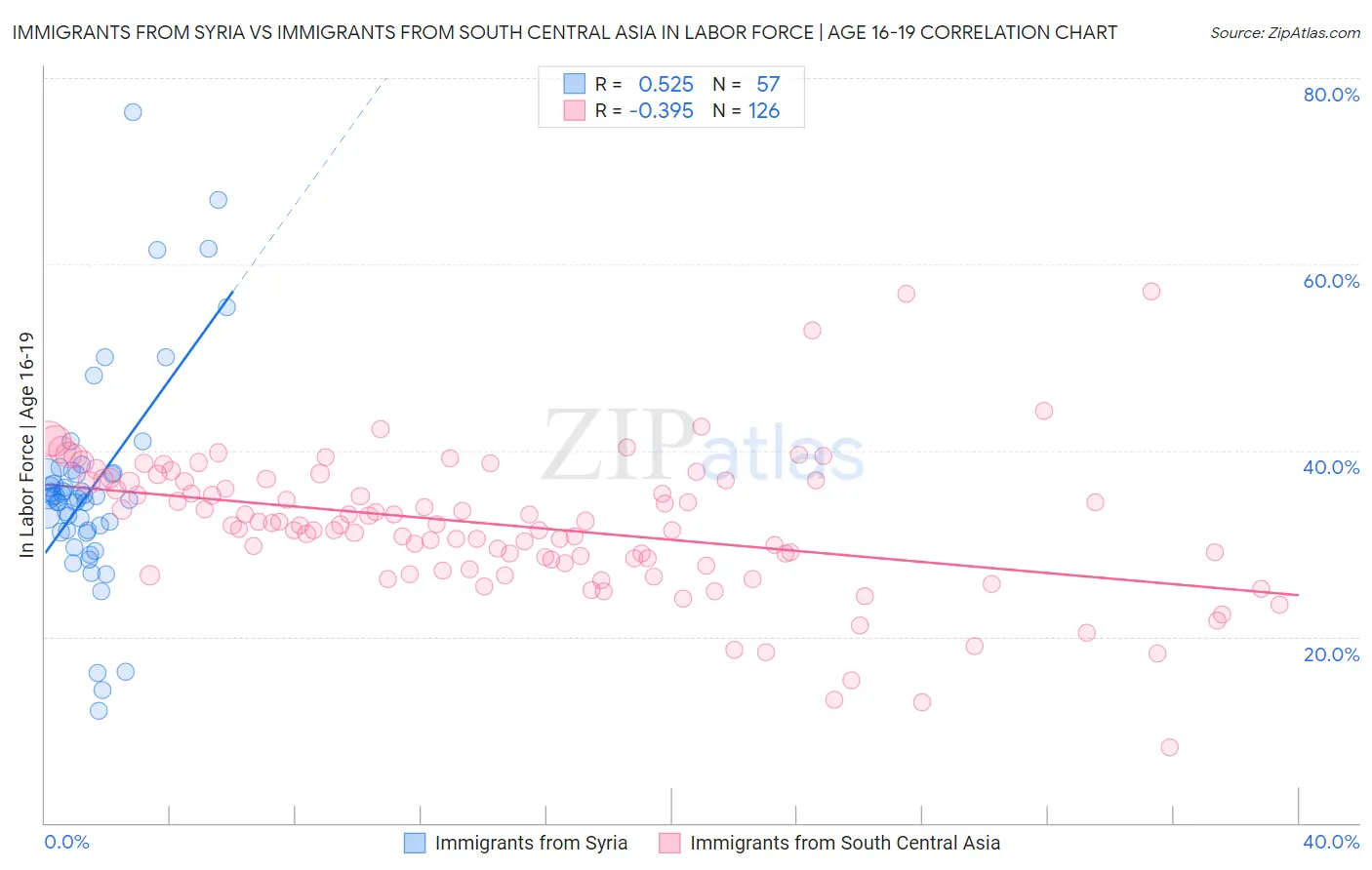 Immigrants from Syria vs Immigrants from South Central Asia In Labor Force | Age 16-19
