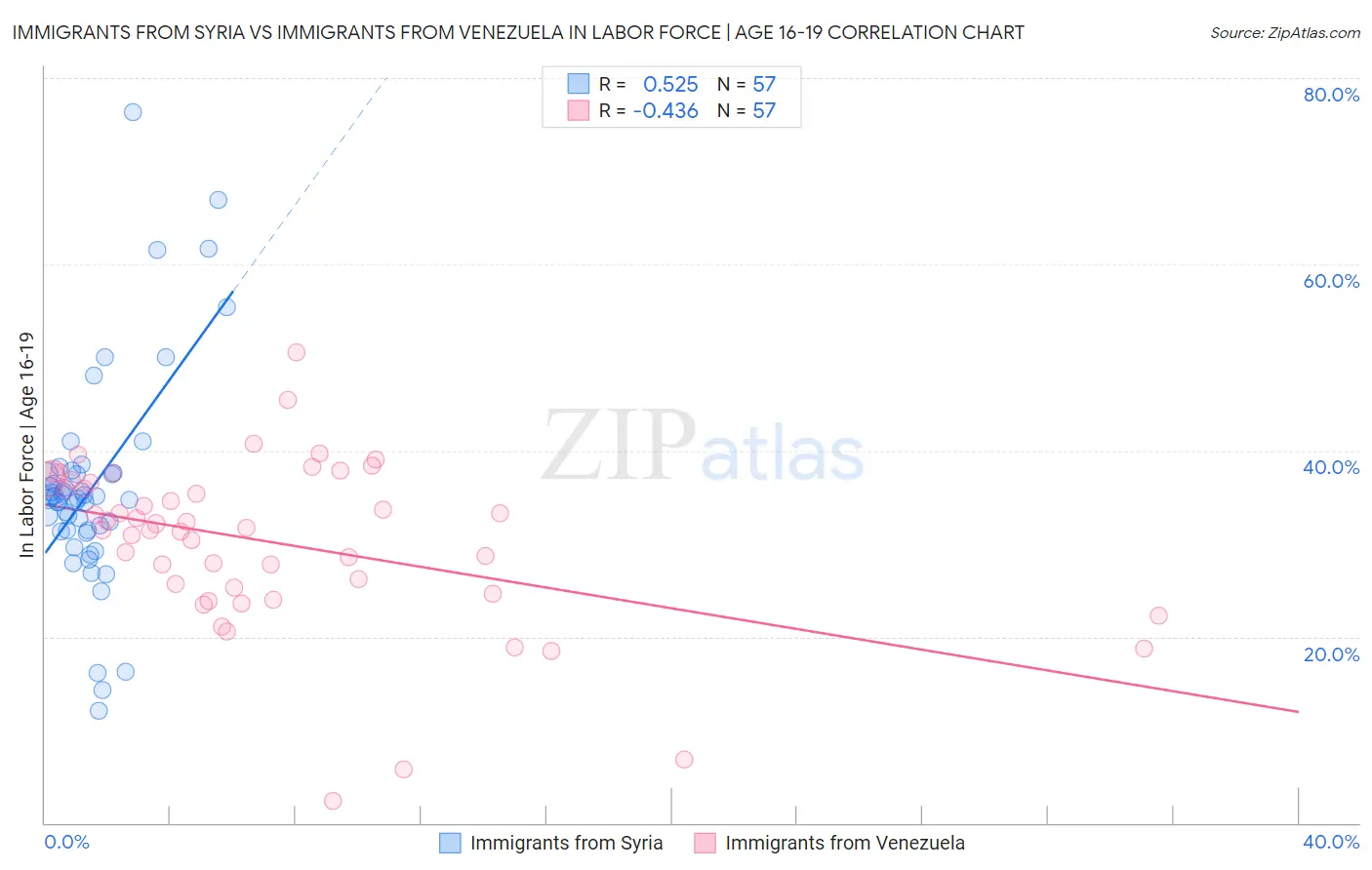 Immigrants from Syria vs Immigrants from Venezuela In Labor Force | Age 16-19