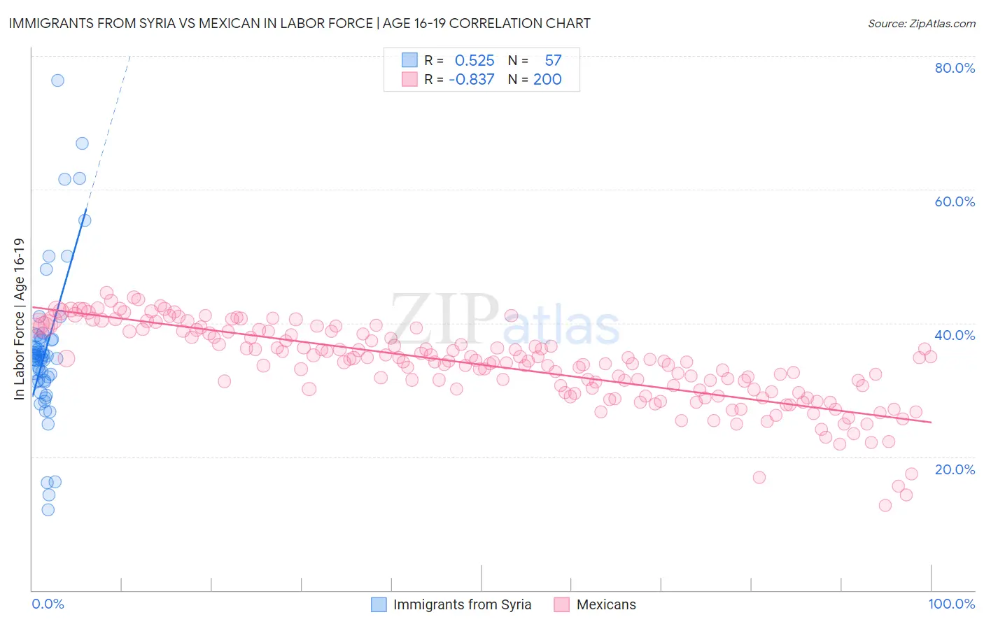 Immigrants from Syria vs Mexican In Labor Force | Age 16-19