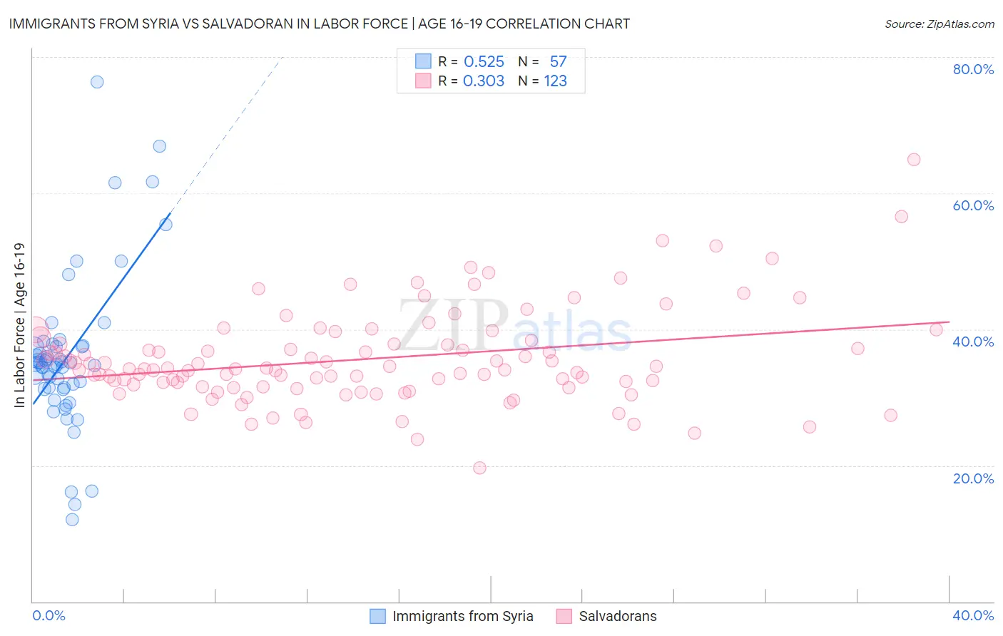 Immigrants from Syria vs Salvadoran In Labor Force | Age 16-19