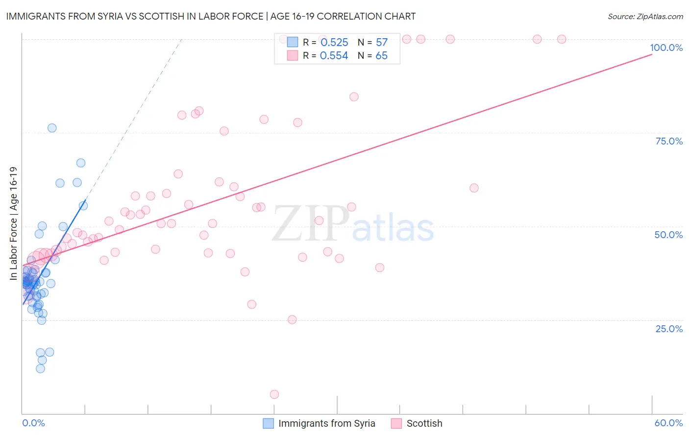 Immigrants from Syria vs Scottish In Labor Force | Age 16-19