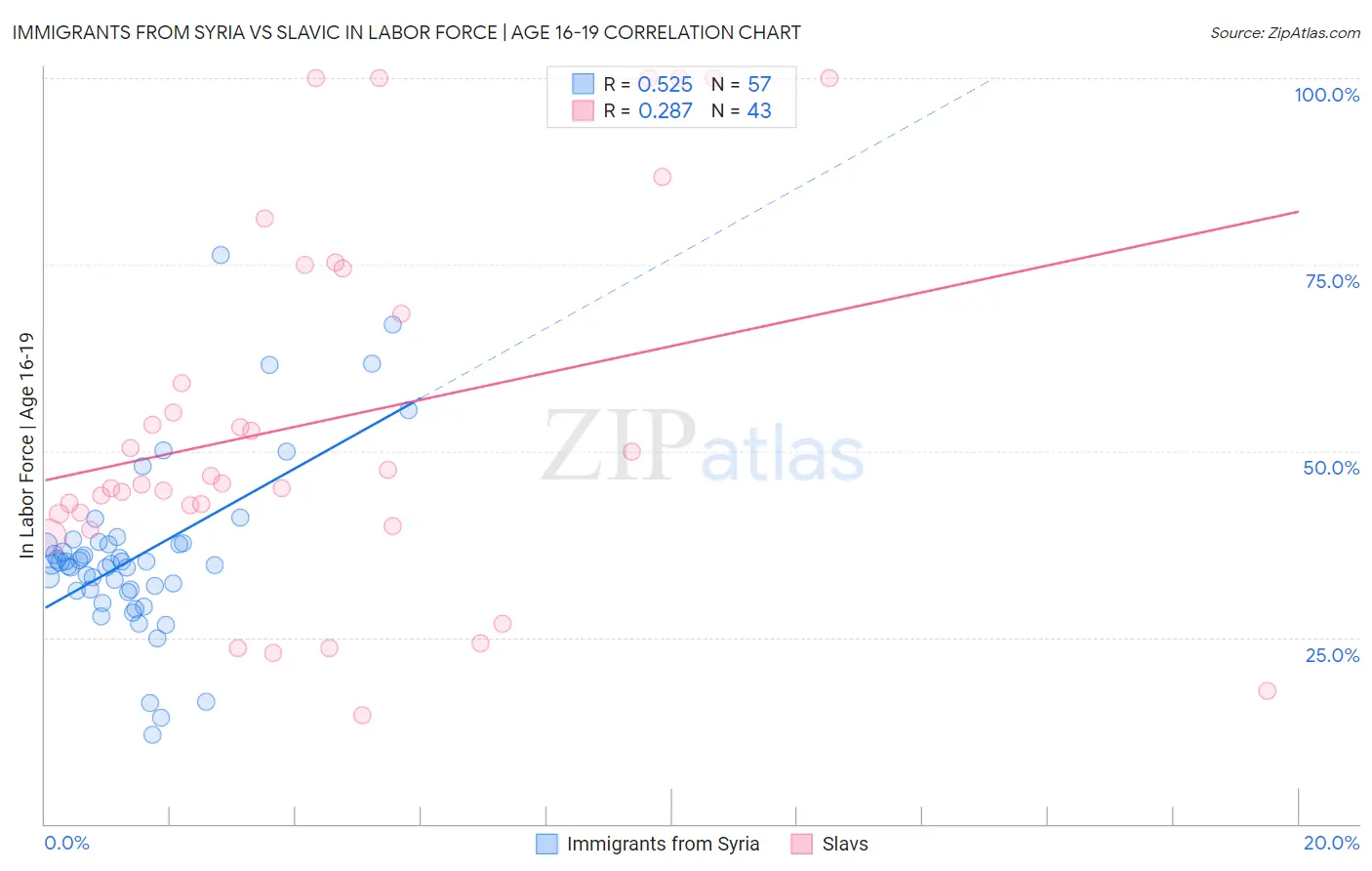 Immigrants from Syria vs Slavic In Labor Force | Age 16-19