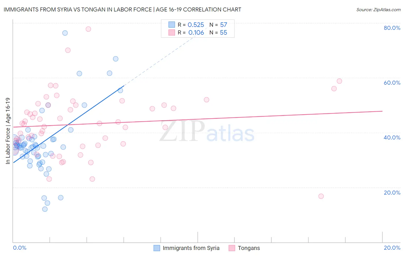 Immigrants from Syria vs Tongan In Labor Force | Age 16-19
