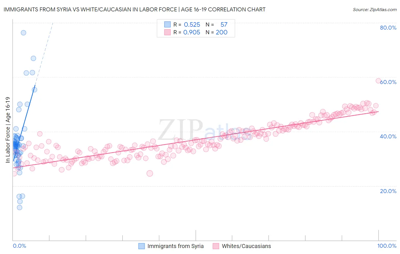 Immigrants from Syria vs White/Caucasian In Labor Force | Age 16-19