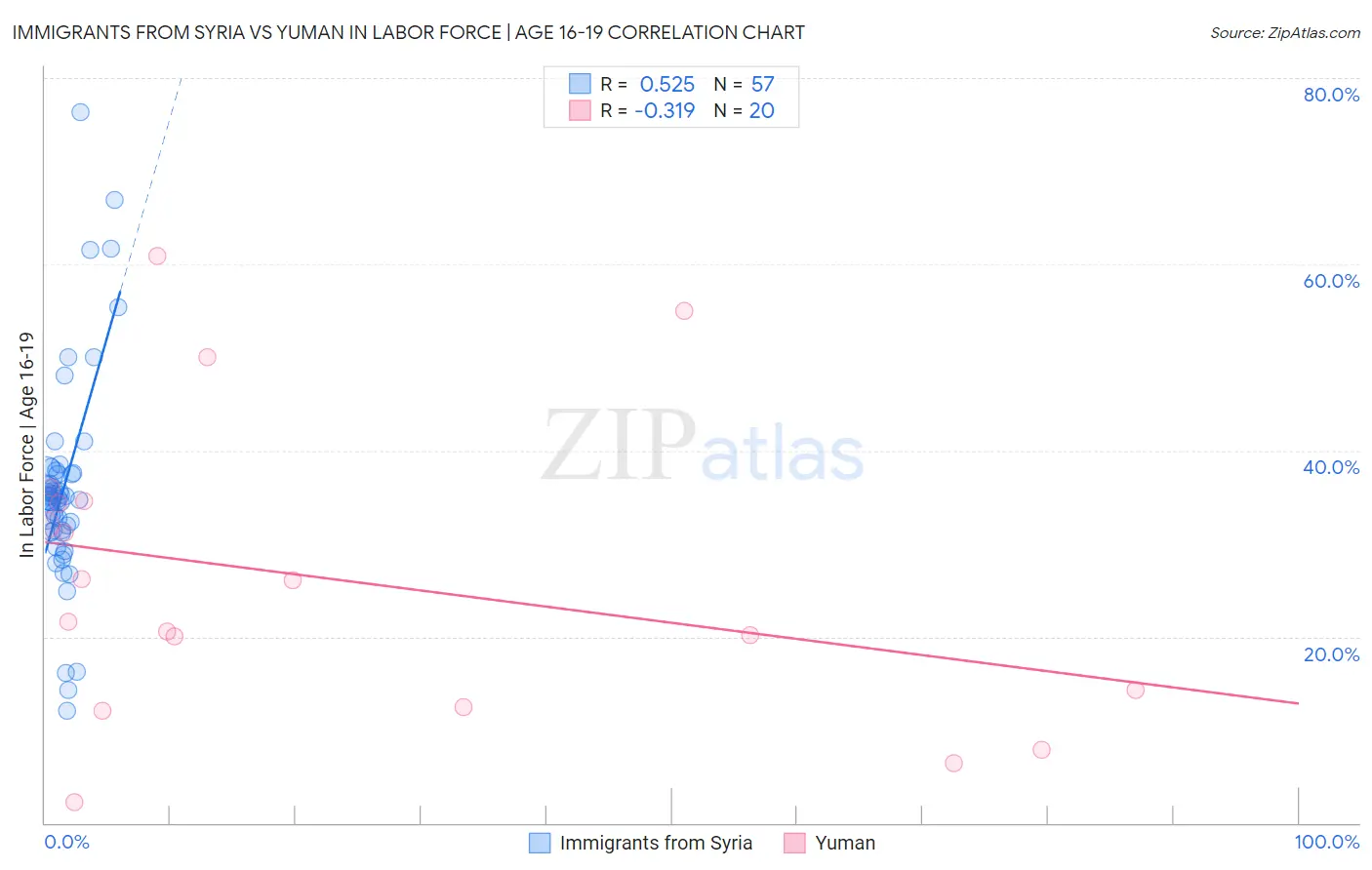 Immigrants from Syria vs Yuman In Labor Force | Age 16-19