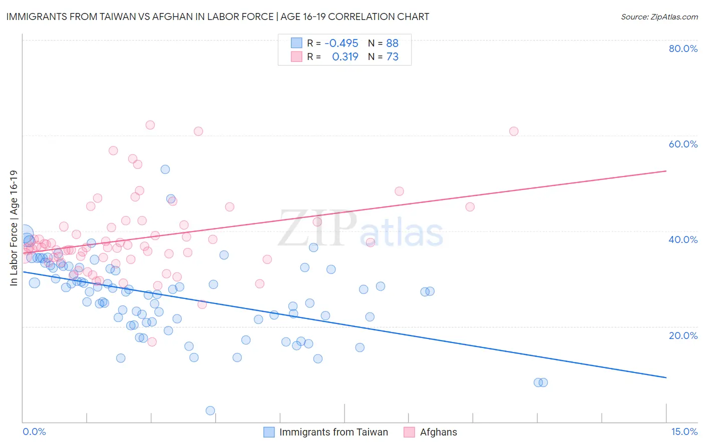 Immigrants from Taiwan vs Afghan In Labor Force | Age 16-19