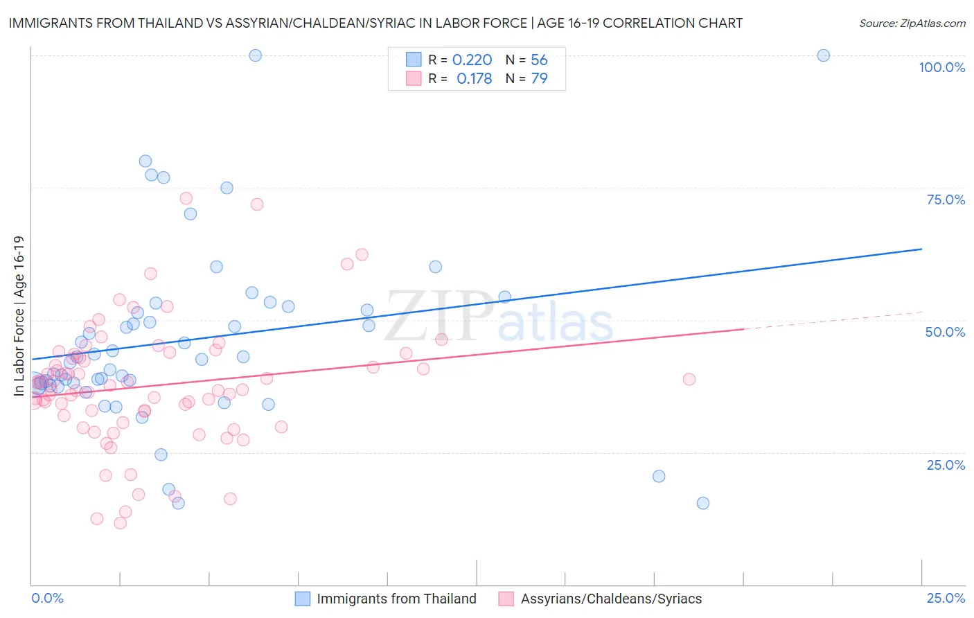 Immigrants from Thailand vs Assyrian/Chaldean/Syriac In Labor Force | Age 16-19