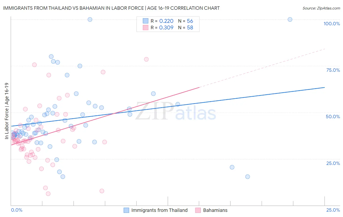 Immigrants from Thailand vs Bahamian In Labor Force | Age 16-19