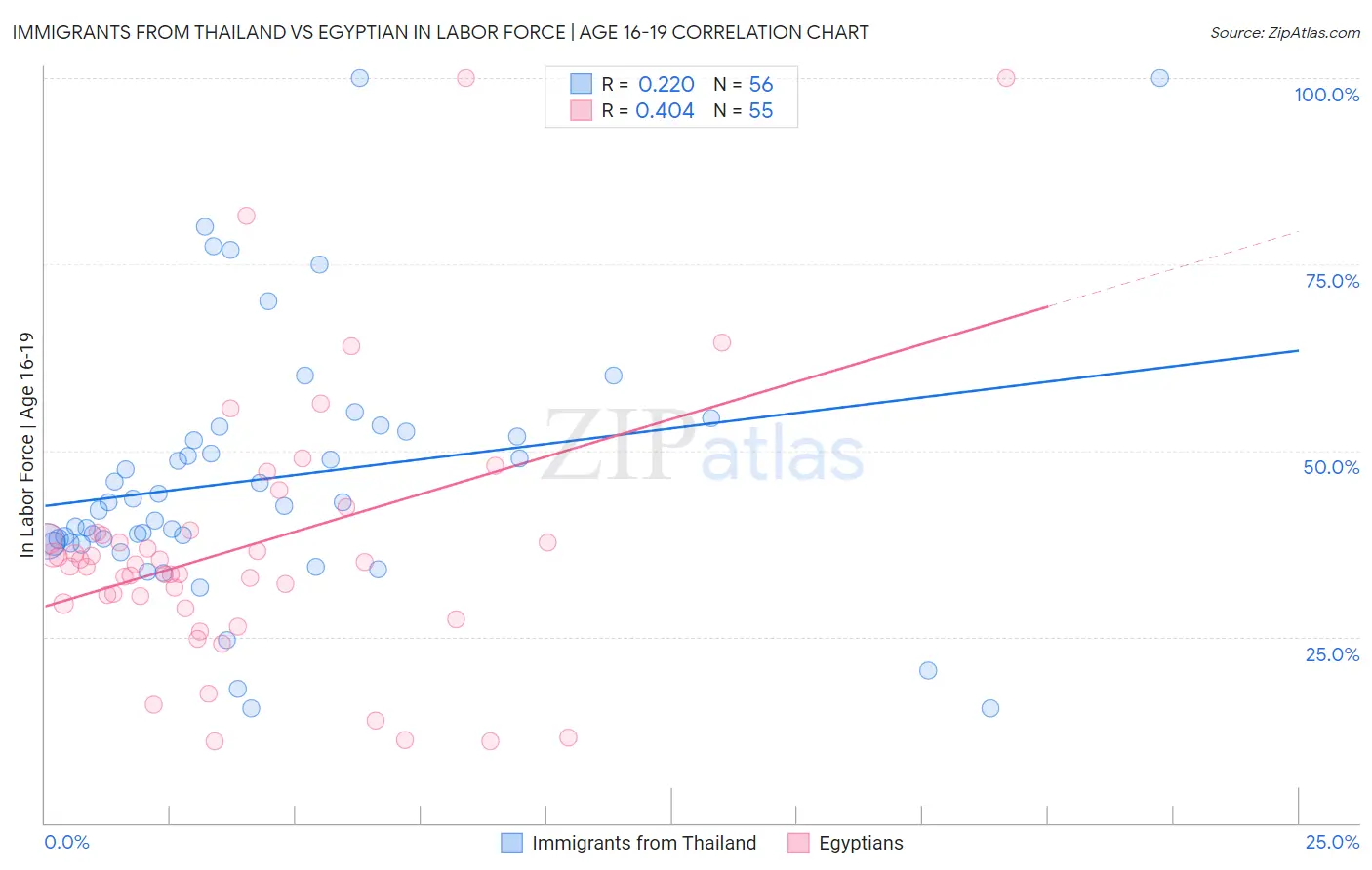 Immigrants from Thailand vs Egyptian In Labor Force | Age 16-19