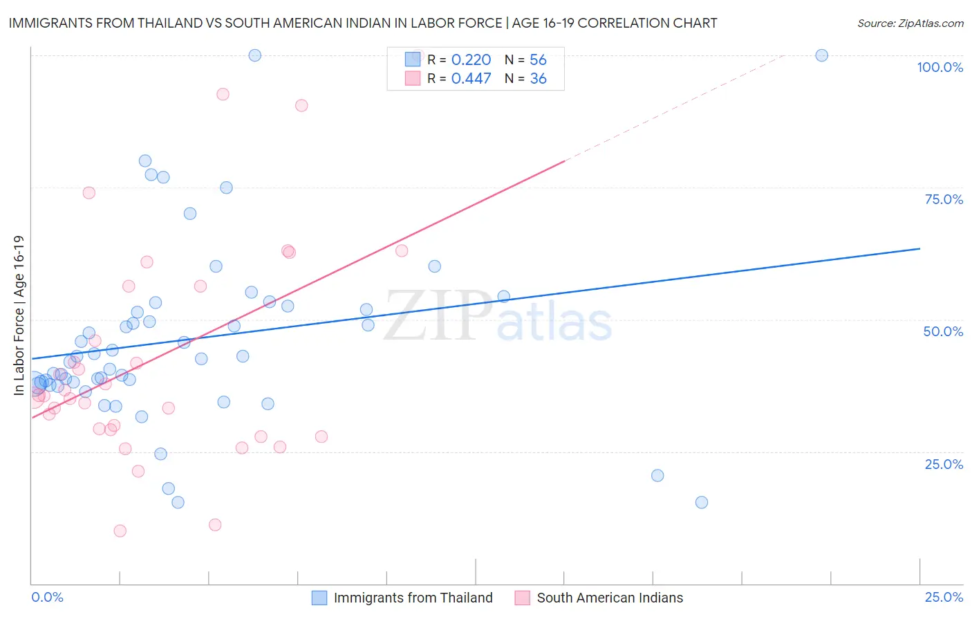 Immigrants from Thailand vs South American Indian In Labor Force | Age 16-19