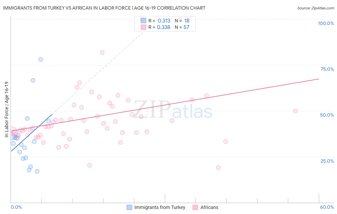 Immigrants from Turkey vs African In Labor Force | Age 16-19