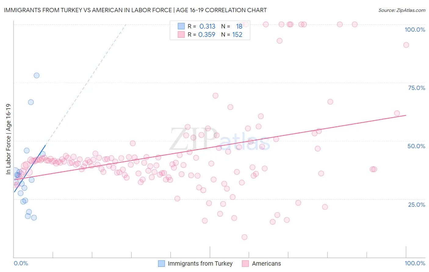 Immigrants from Turkey vs American In Labor Force | Age 16-19