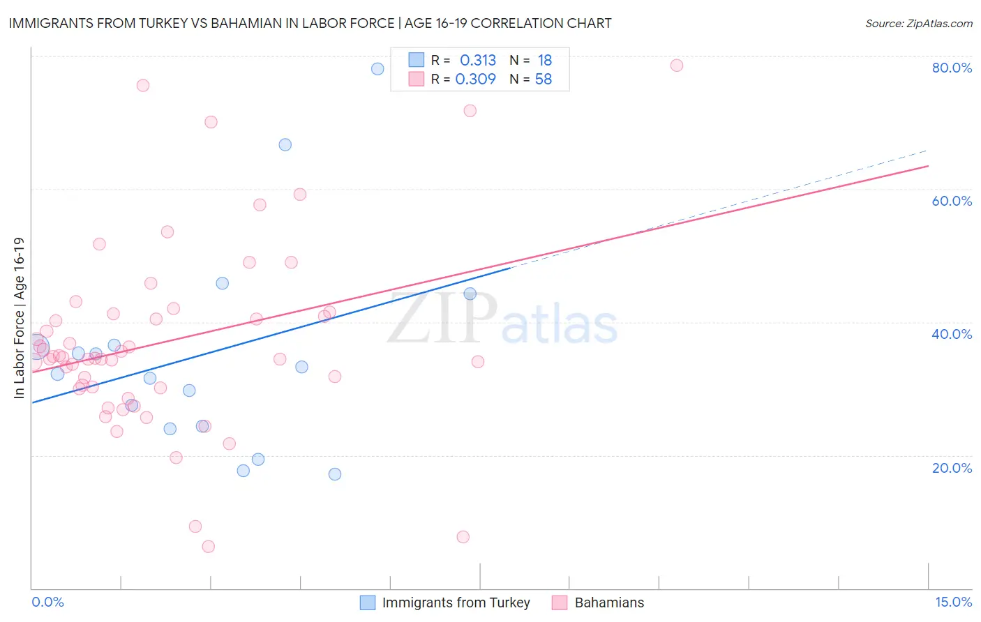 Immigrants from Turkey vs Bahamian In Labor Force | Age 16-19