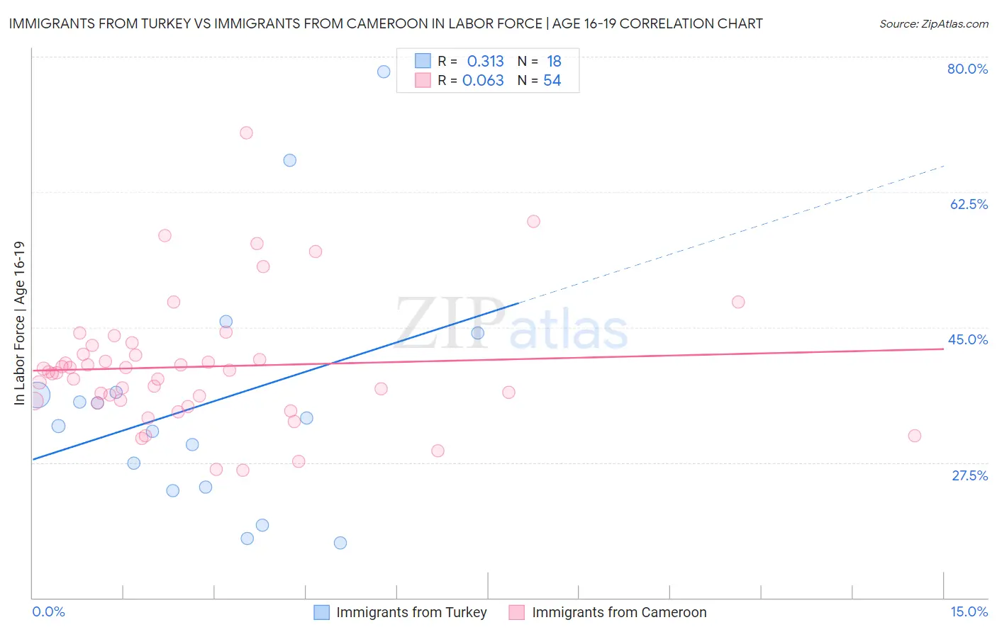 Immigrants from Turkey vs Immigrants from Cameroon In Labor Force | Age 16-19