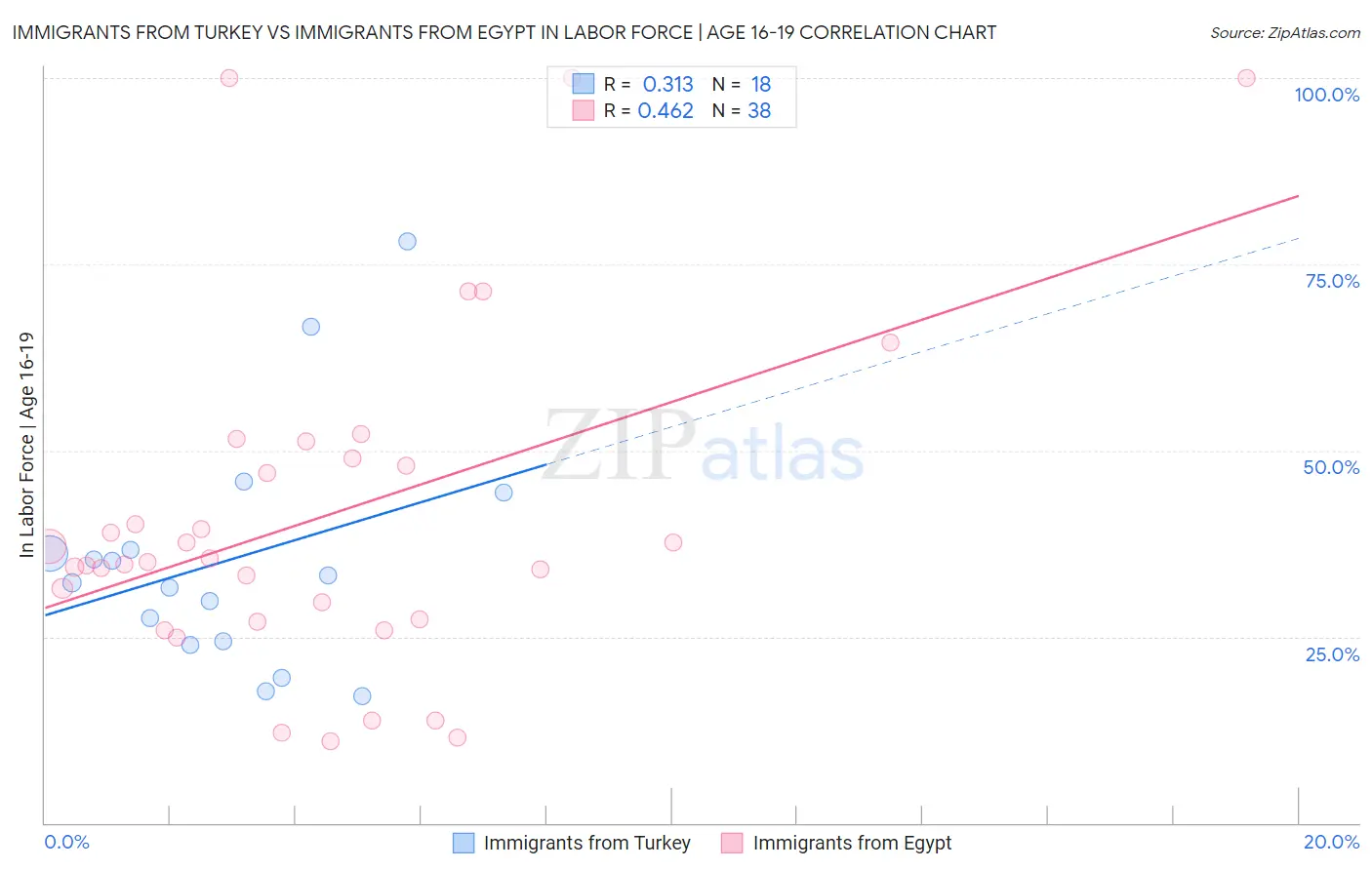 Immigrants from Turkey vs Immigrants from Egypt In Labor Force | Age 16-19