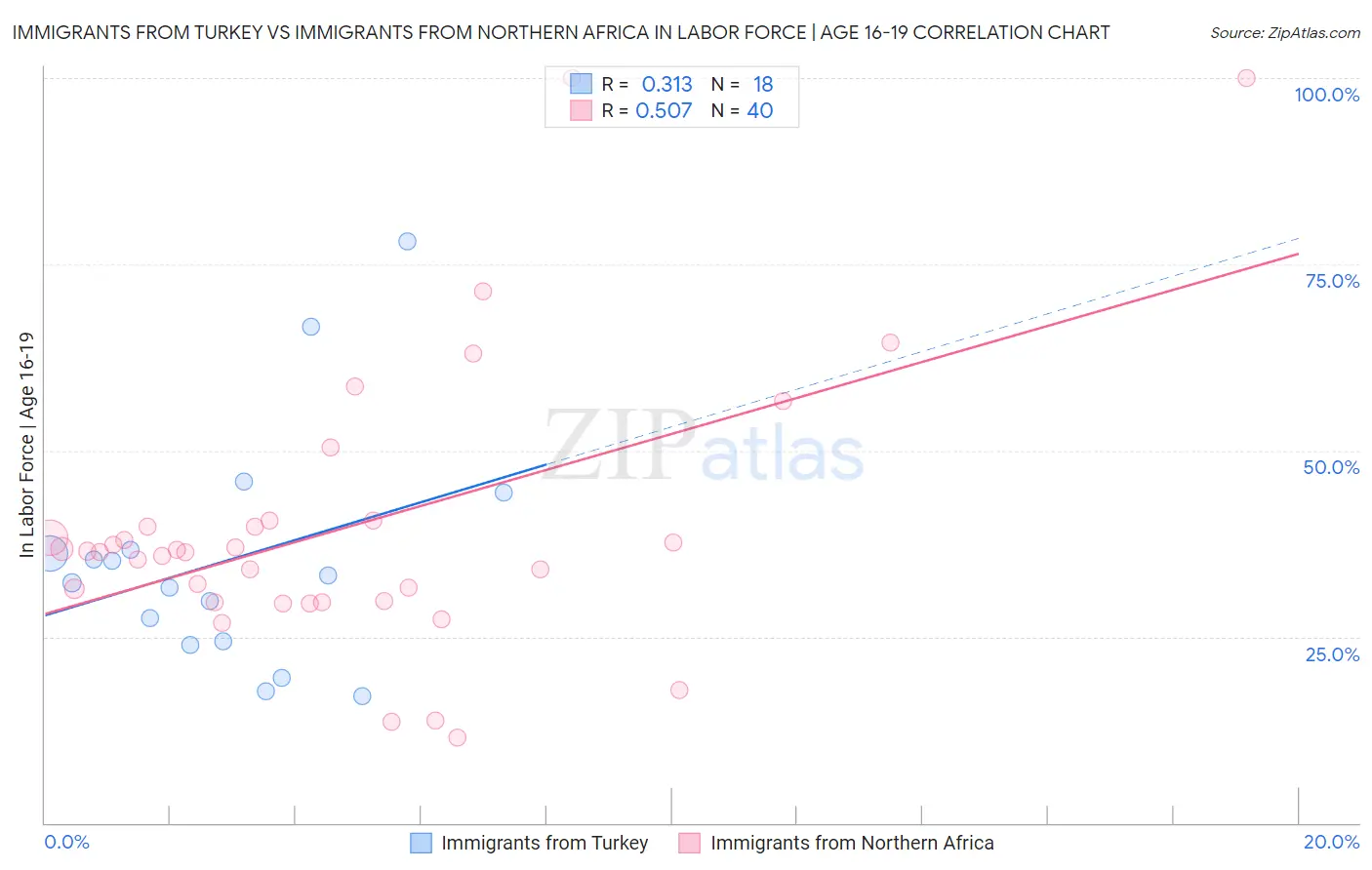 Immigrants from Turkey vs Immigrants from Northern Africa In Labor Force | Age 16-19