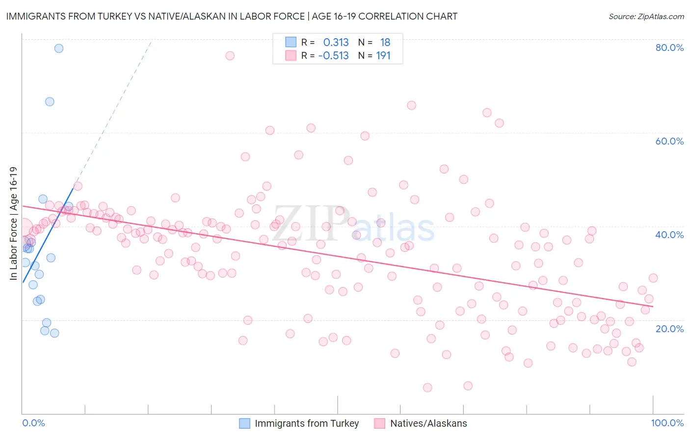 Immigrants from Turkey vs Native/Alaskan In Labor Force | Age 16-19
