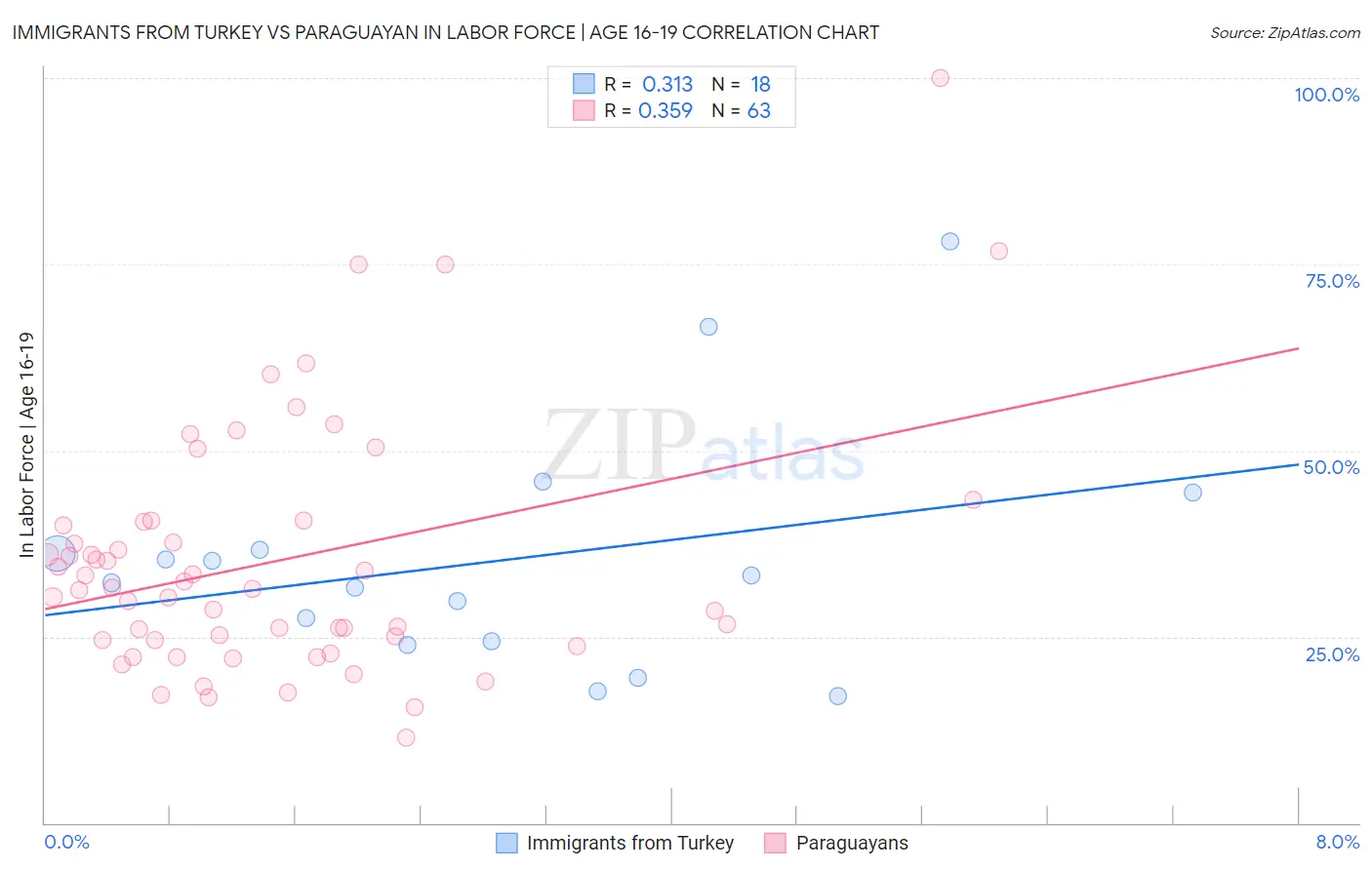 Immigrants from Turkey vs Paraguayan In Labor Force | Age 16-19