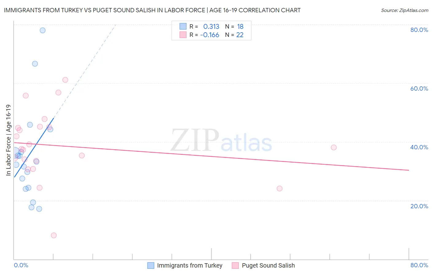 Immigrants from Turkey vs Puget Sound Salish In Labor Force | Age 16-19