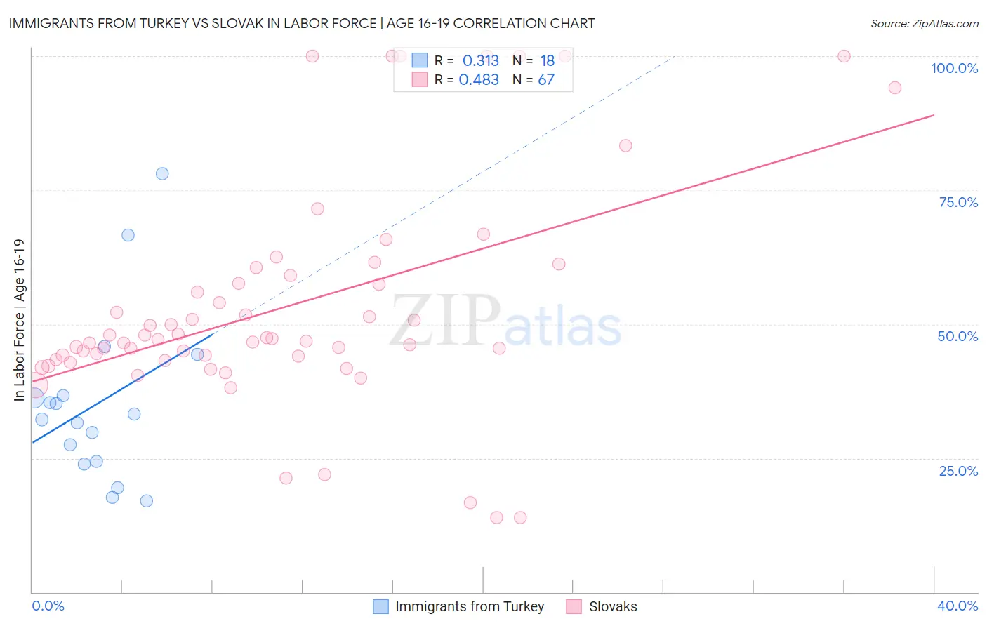 Immigrants from Turkey vs Slovak In Labor Force | Age 16-19