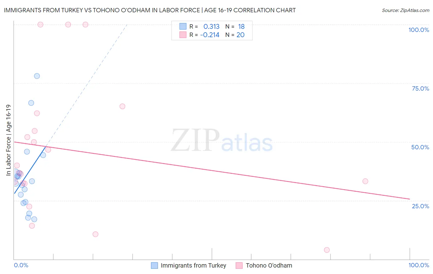 Immigrants from Turkey vs Tohono O'odham In Labor Force | Age 16-19