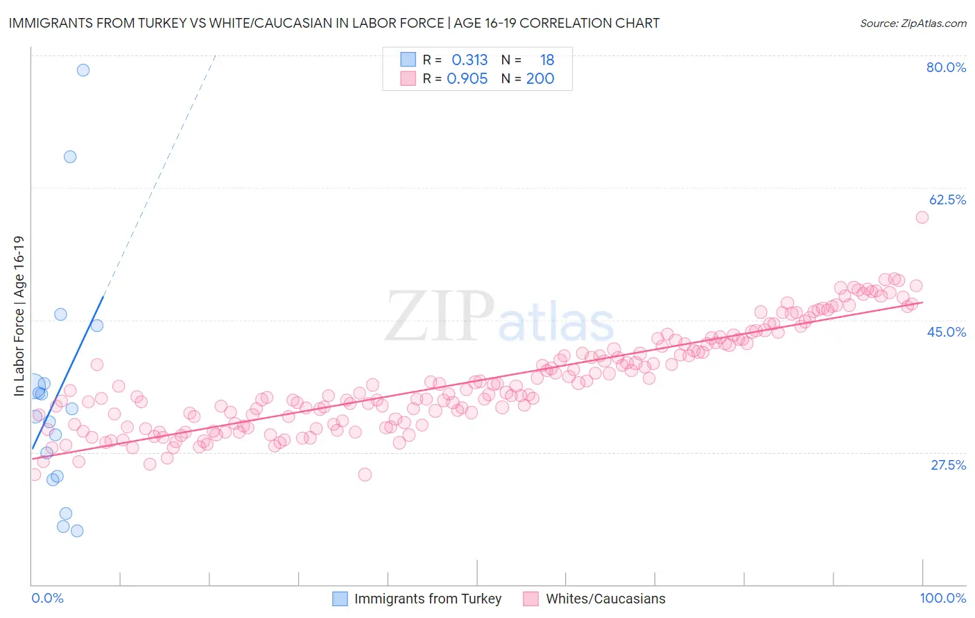 Immigrants from Turkey vs White/Caucasian In Labor Force | Age 16-19