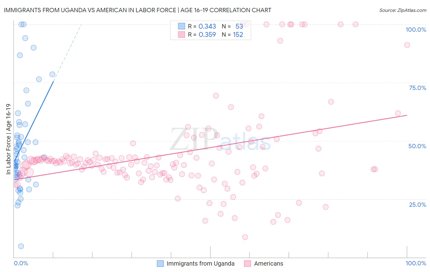 Immigrants from Uganda vs American In Labor Force | Age 16-19
