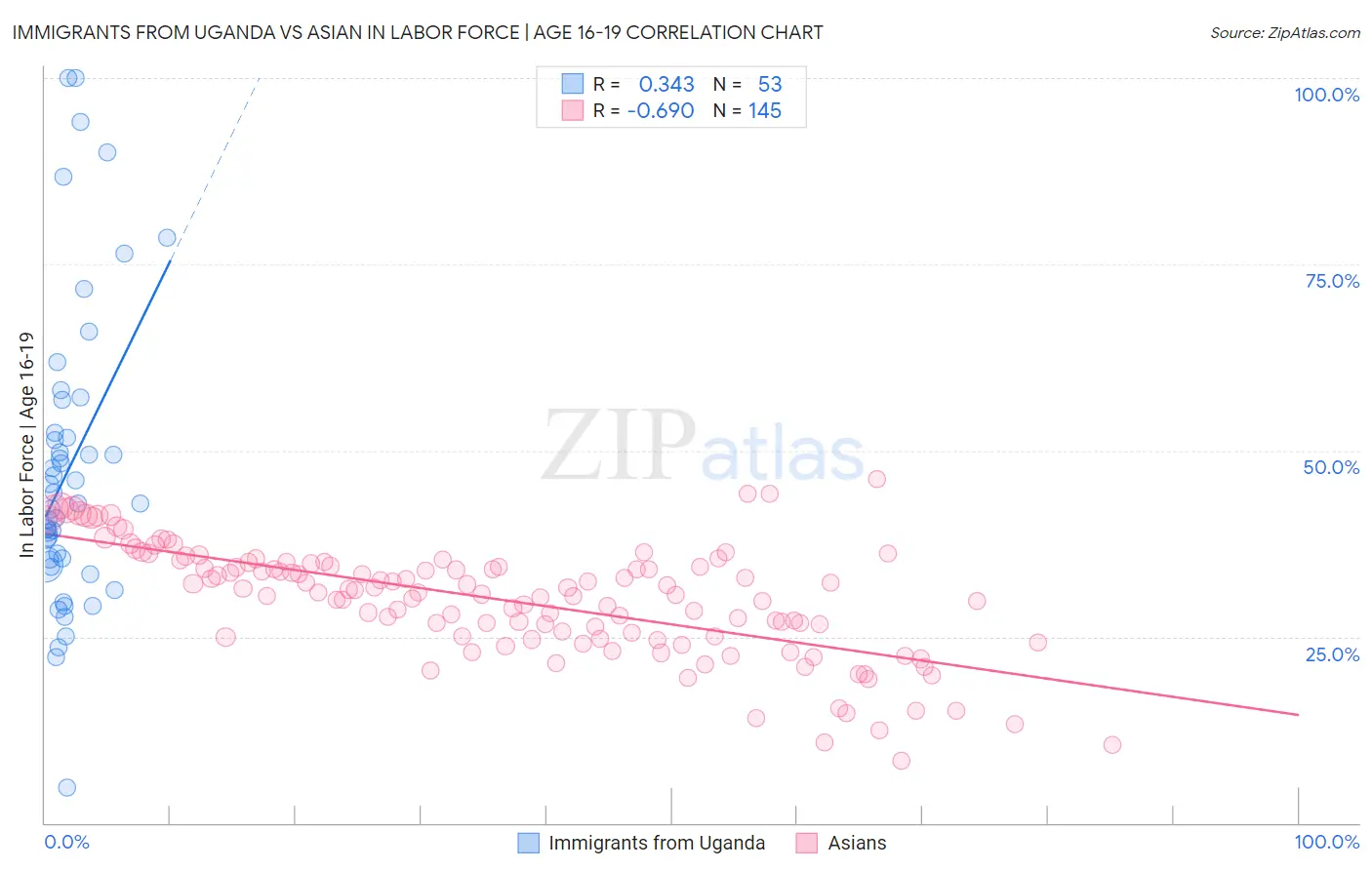 Immigrants from Uganda vs Asian In Labor Force | Age 16-19