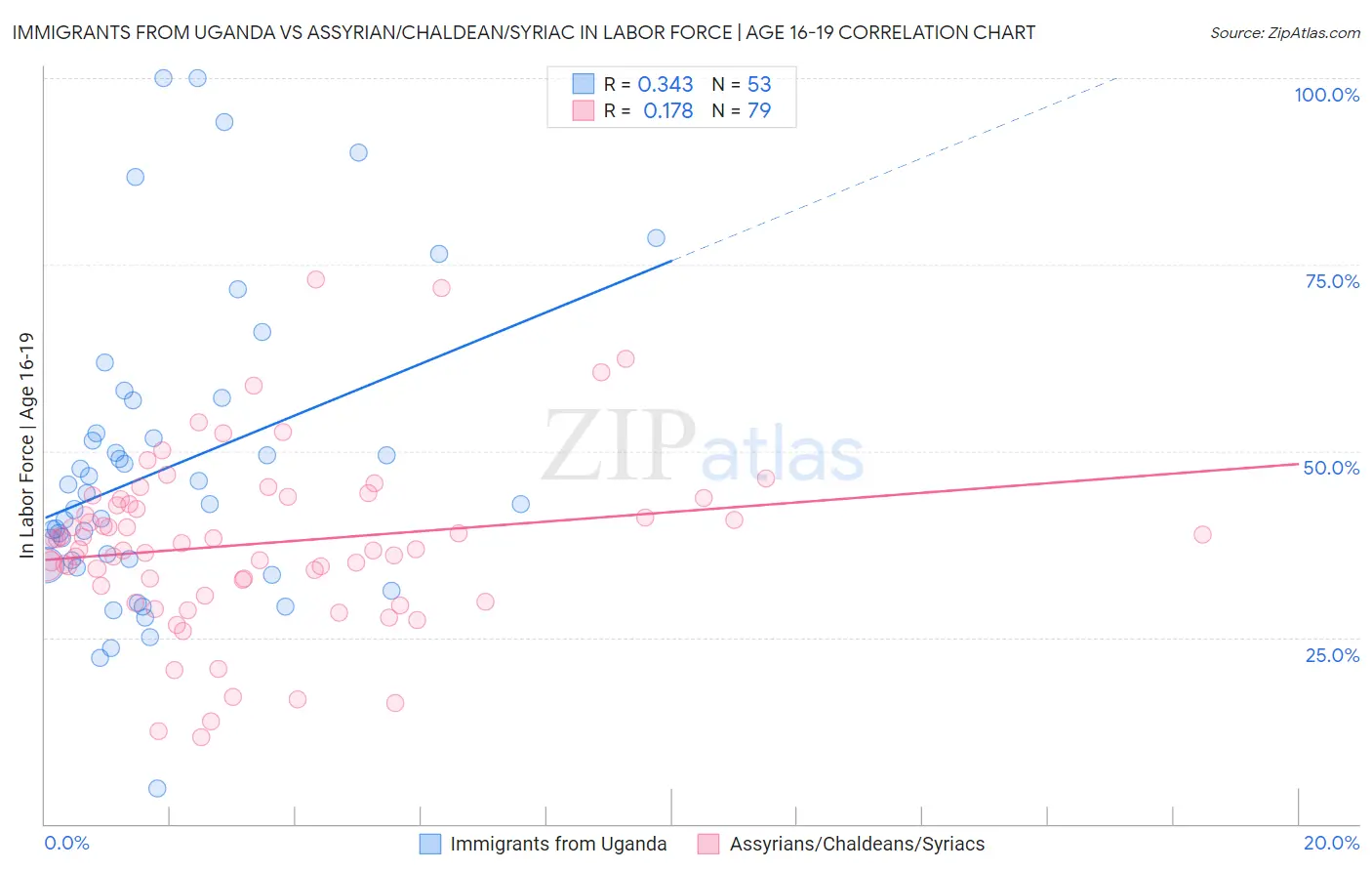 Immigrants from Uganda vs Assyrian/Chaldean/Syriac In Labor Force | Age 16-19