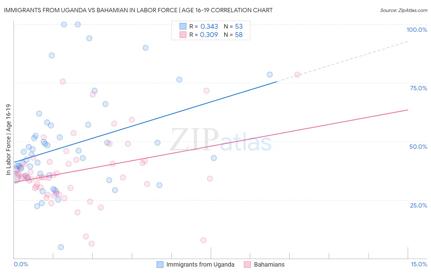Immigrants from Uganda vs Bahamian In Labor Force | Age 16-19