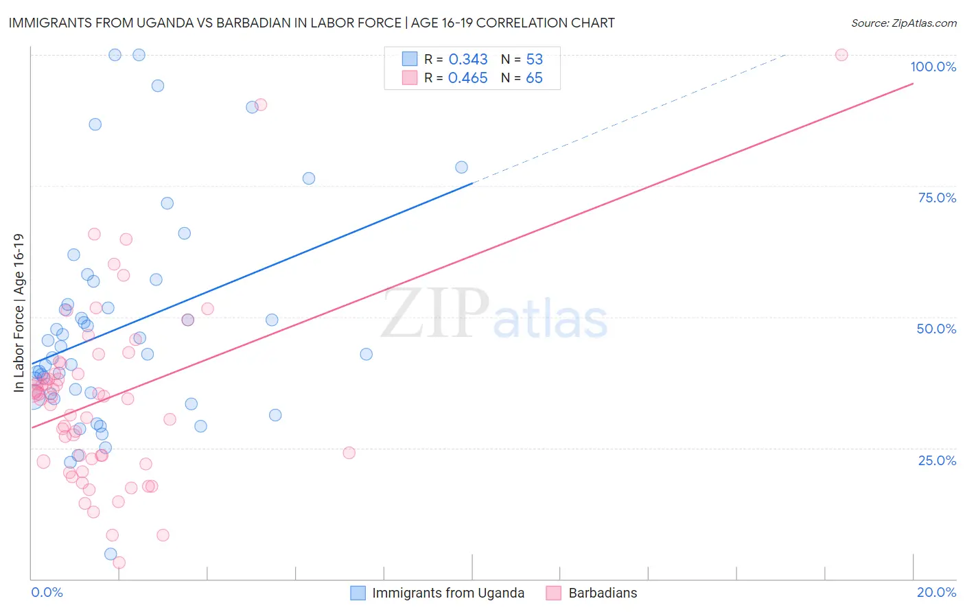 Immigrants from Uganda vs Barbadian In Labor Force | Age 16-19